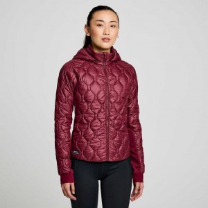 Burgundy Women's Saucony Solstice Oysterpuff Jacket | MALAYSIA-MPYO