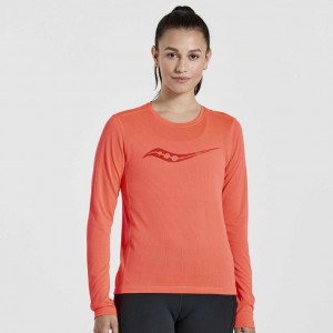 Orange Women's Saucony Stopwatch Graphic Long Sleeve T-Shirt | MALAYSIA-UZLP