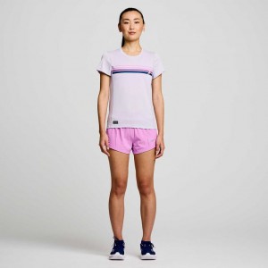 Purple Women's Saucony Stopwatch Graphic Short Sleeve T-Shirt | MALAYSIA-KPXQ