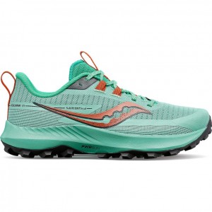 Turquoise Women's Saucony Peregrine 13 Trail Running Shoes | MALAYSIA-ZDGO