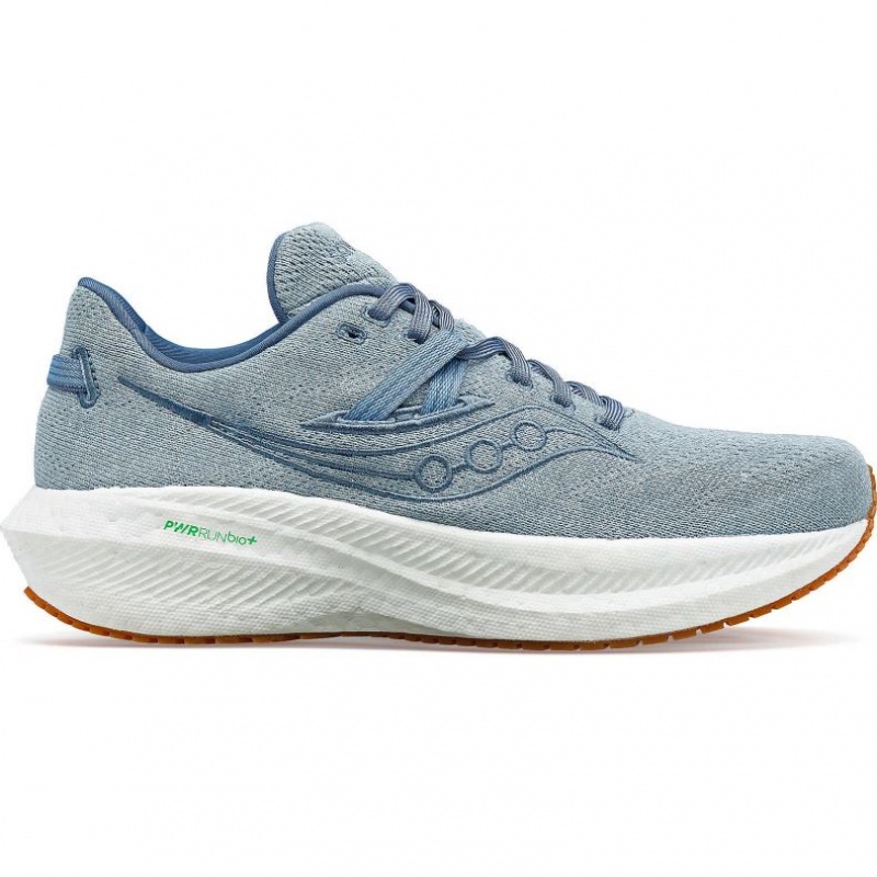 Blue Men\'s Saucony Triumph RFG Running Shoes | MALAYSIA-IRLY